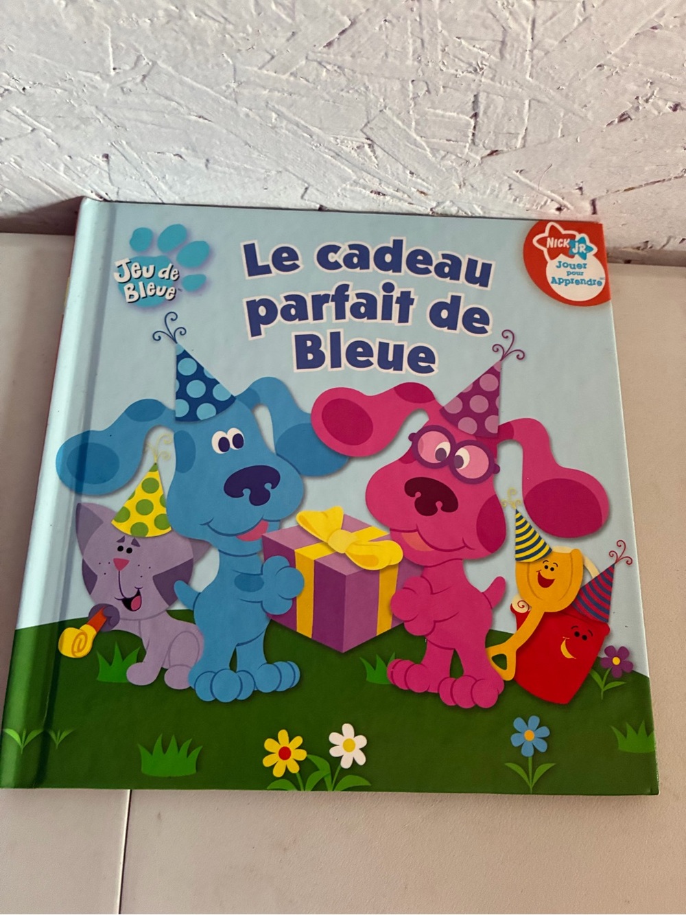 Jeu de Bleue Le cadeau parfait de Bleue - Blue and Pink Kids Learning Book